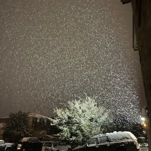 Meet your Posher, Jazzmine